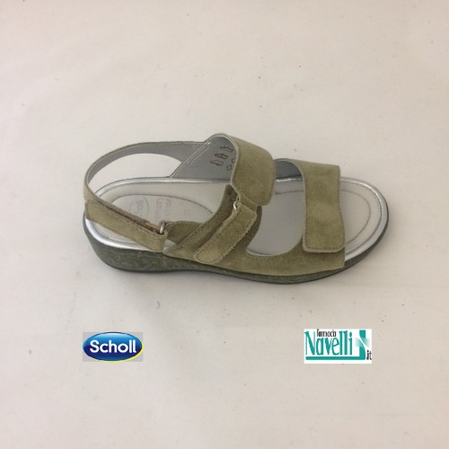 DR SCHOLL ARDEA SALVIA C