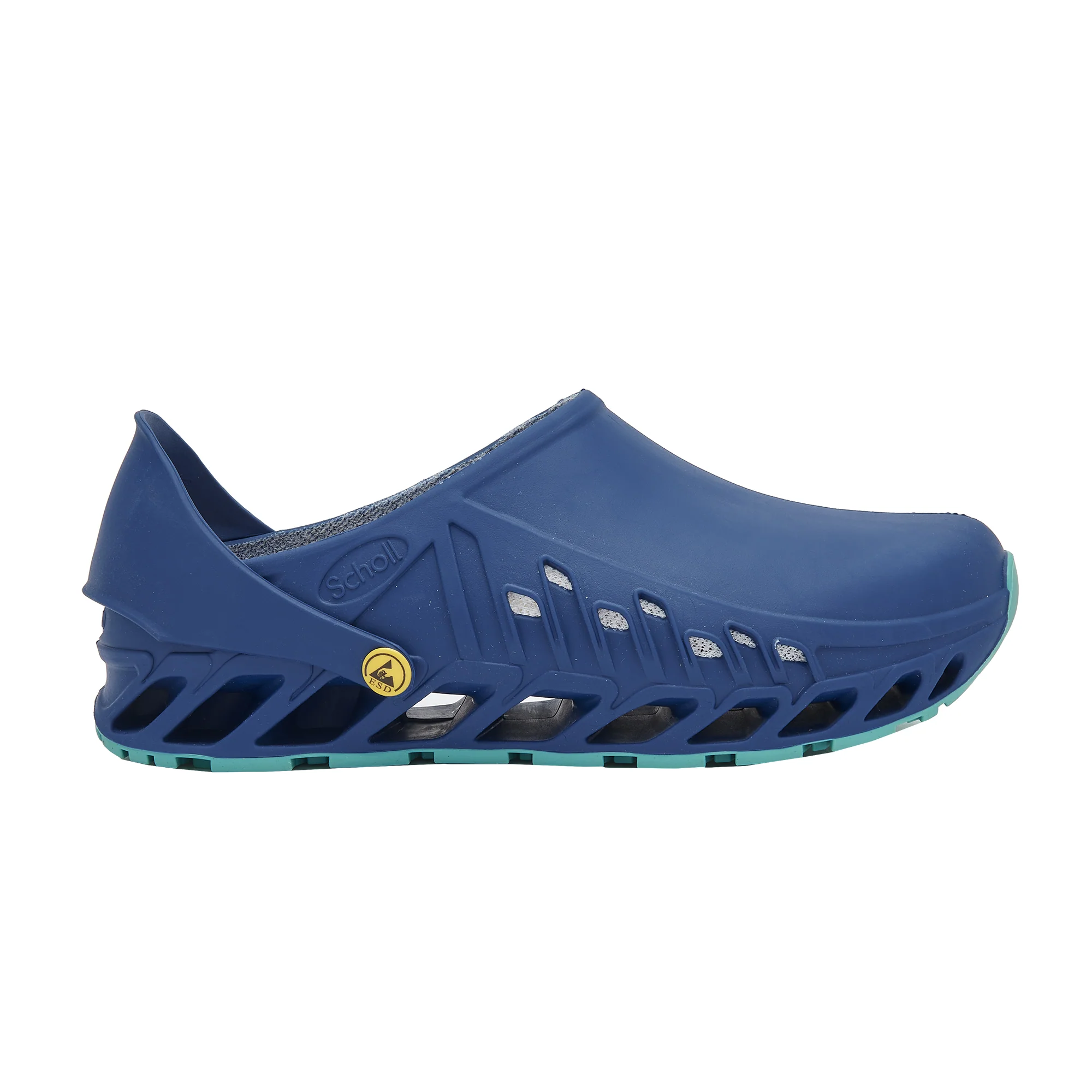 EVOFLEX_BLUE_1_2000x